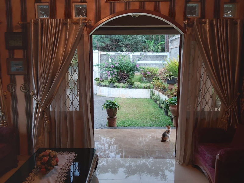 Jalan Cendrawasih Blok A No.888