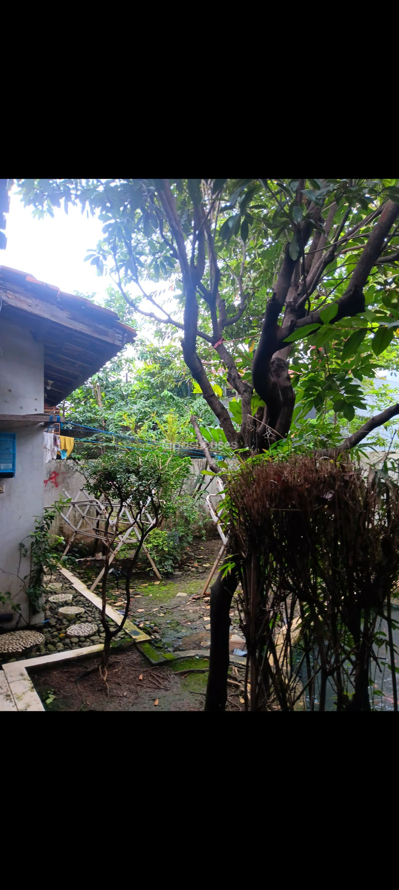 Jalan Taman Pembangunan No.19