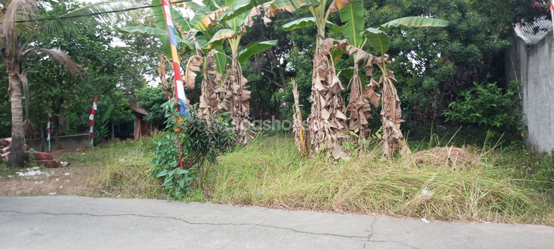 Cluster Fattih Residence