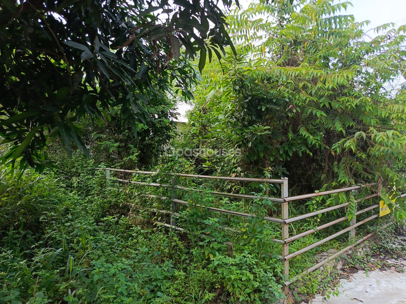 The Querencia Residences