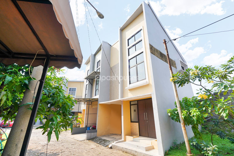 Diamond Golden Cinere