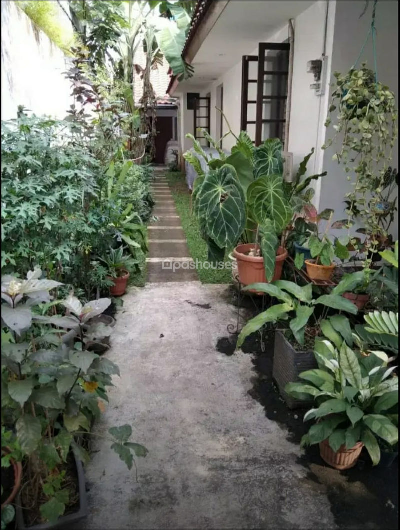 Jalan Semboja Bogor