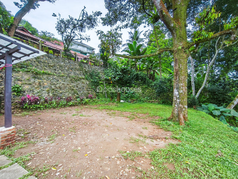 Kampung Ciliwung Riverside
