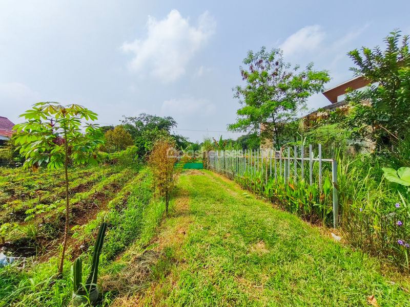 Jalan Manunggal No.39 Bogor