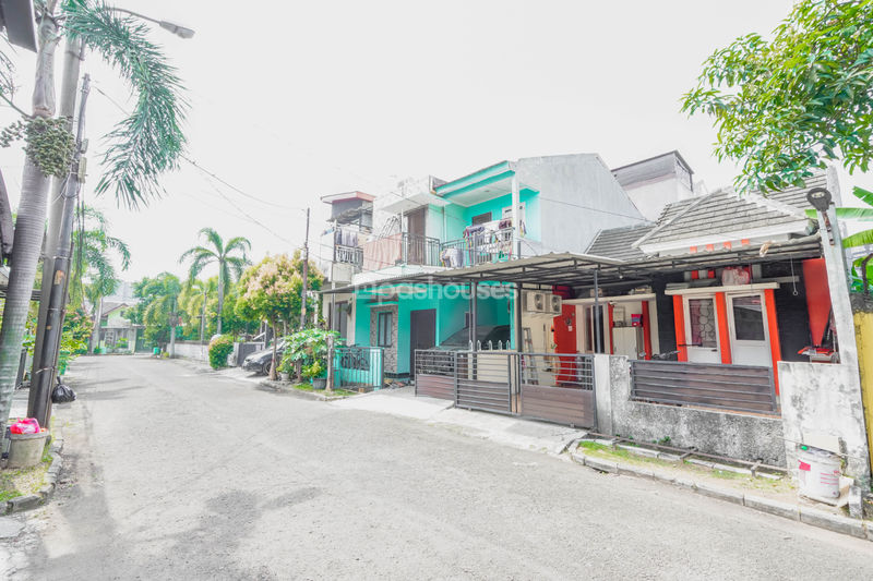 Serpong Park Cluster Fluorite