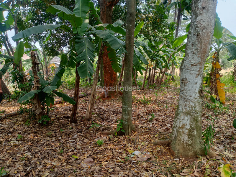 Tanah di Kp. Sawah 