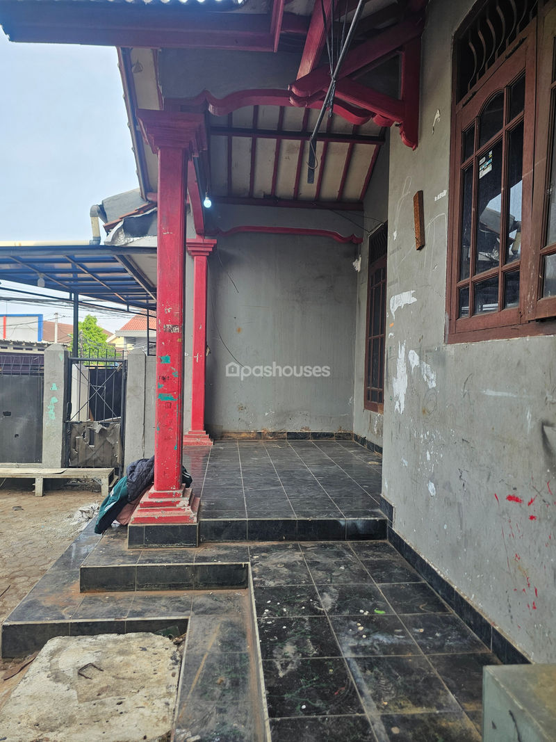 Jalan Belly No.75
