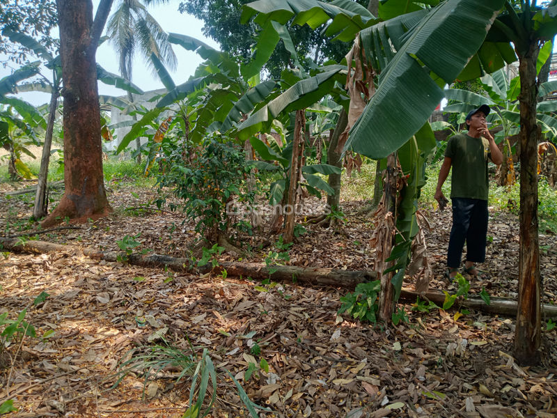 Tanah di Kp. Sawah 
