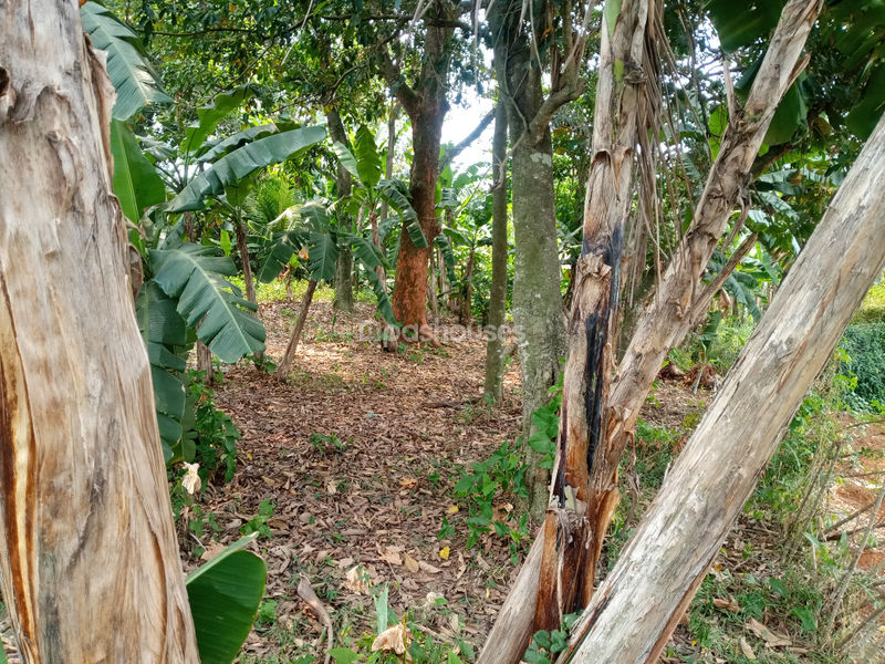 Tanah di Kp. Sawah 