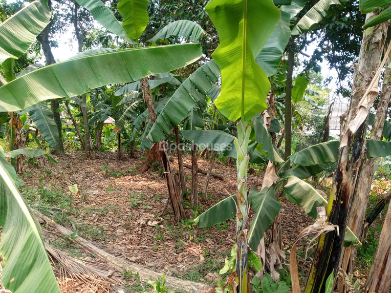 Tanah di Kp. Sawah 
