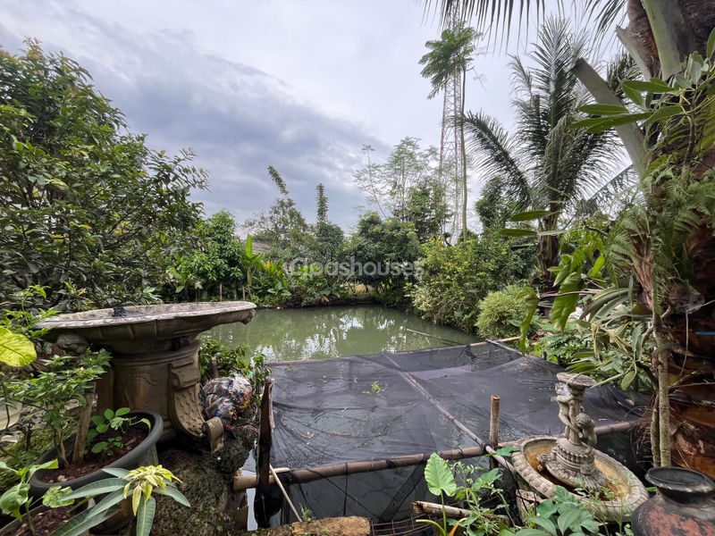 Jalan Kemang Dalam Bojongsari