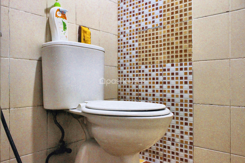 Diamond Golden Cinere