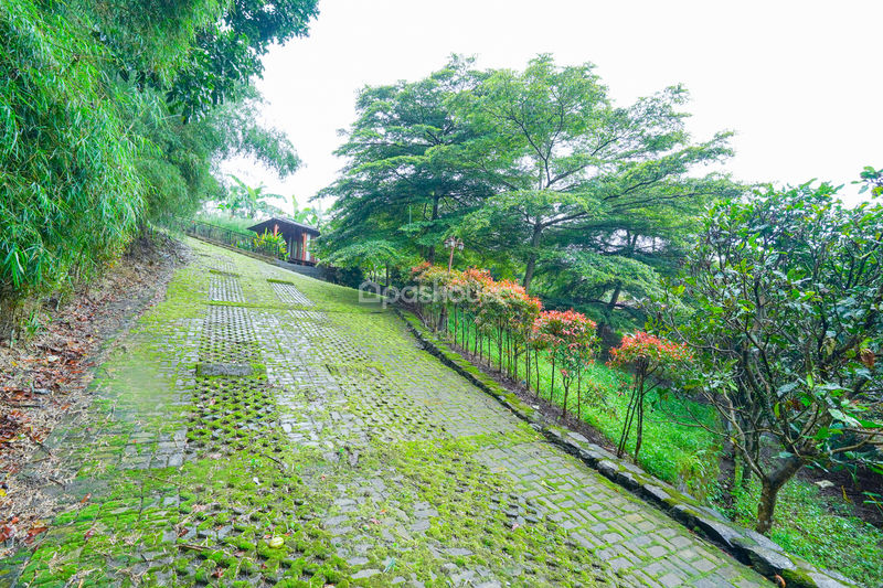 Villa Saung Ibu Bogor