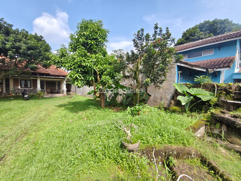 Jalan Palem Raja No.41