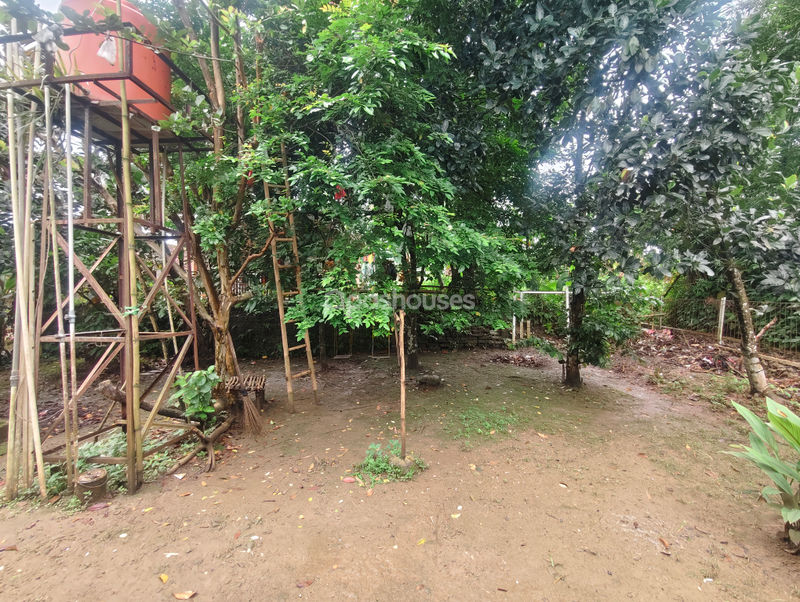 Jalan Arjuna Bogor