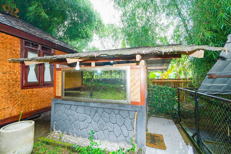 Villa Saung Ibu Bogor