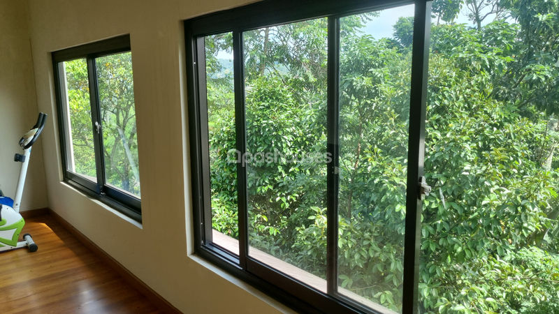 Jalan Raya Puncak Cibogo II