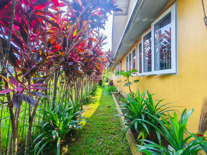Jalan Manunggal No.39 Bogor