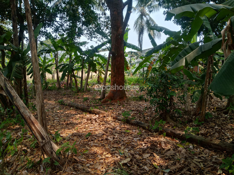 Tanah di Kp. Sawah 