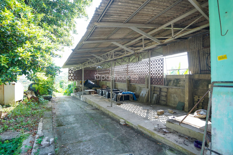 Jalan Persatuan No.50 Cibinong