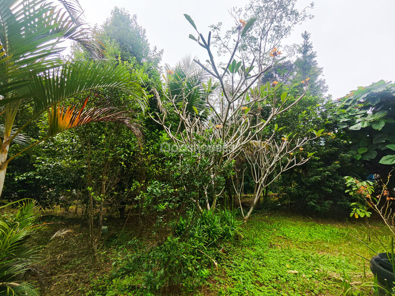 Kampung Cihanjawar Bogor