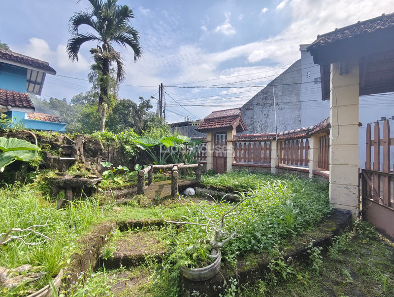 Jalan Palem Raja No.41