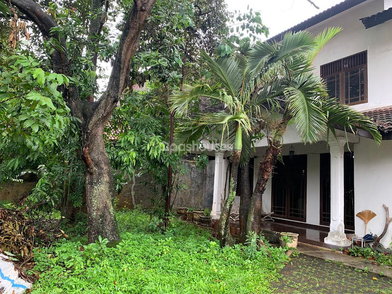 Jalan Rengas Ciputat