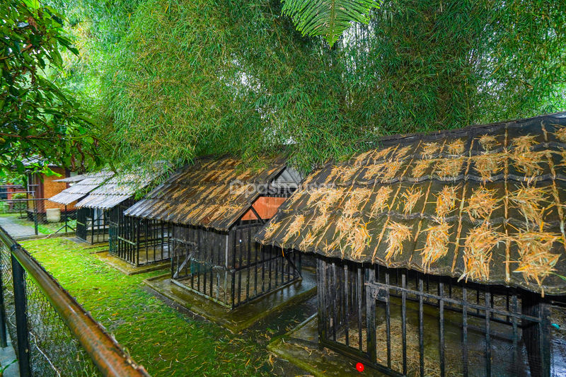 Villa Saung Ibu Bogor