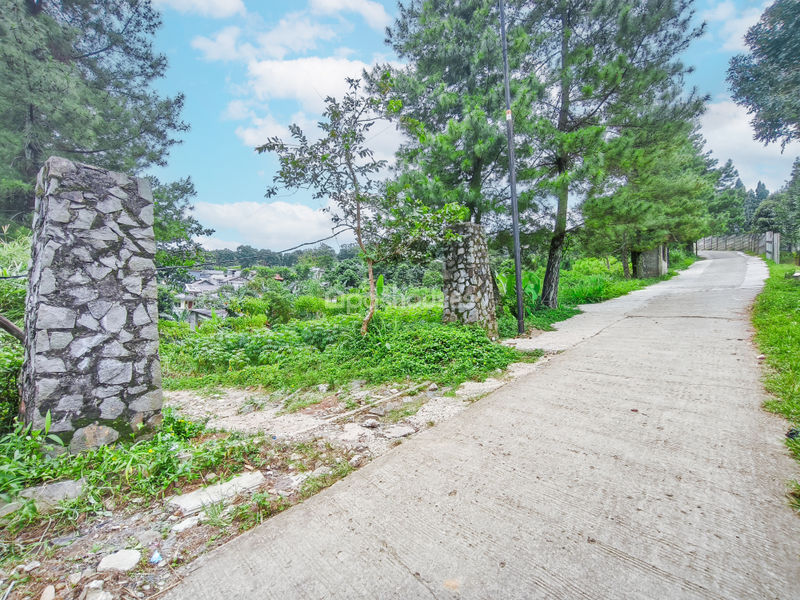 Jalan Raya Bojong Koneng