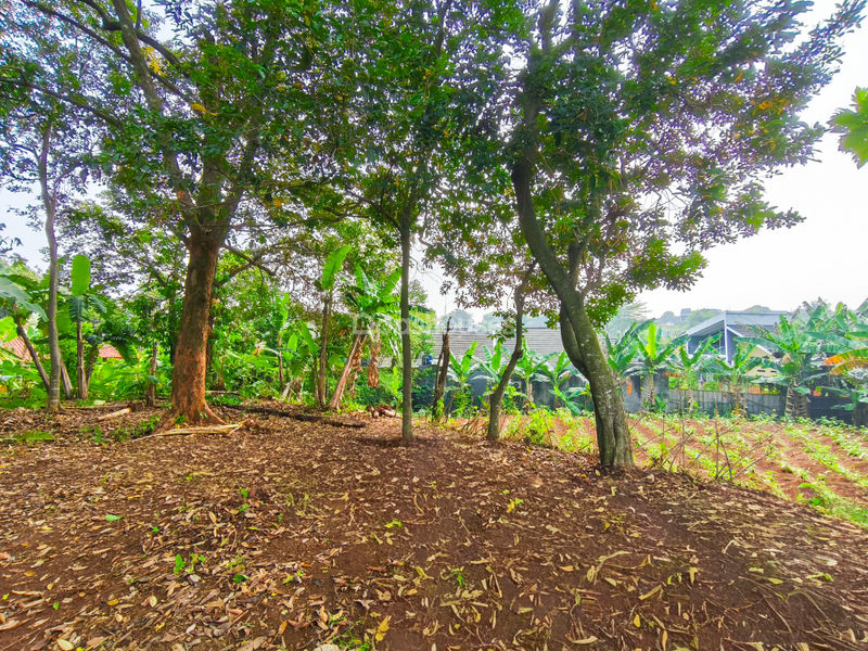 Tanah di Kp. Sawah 