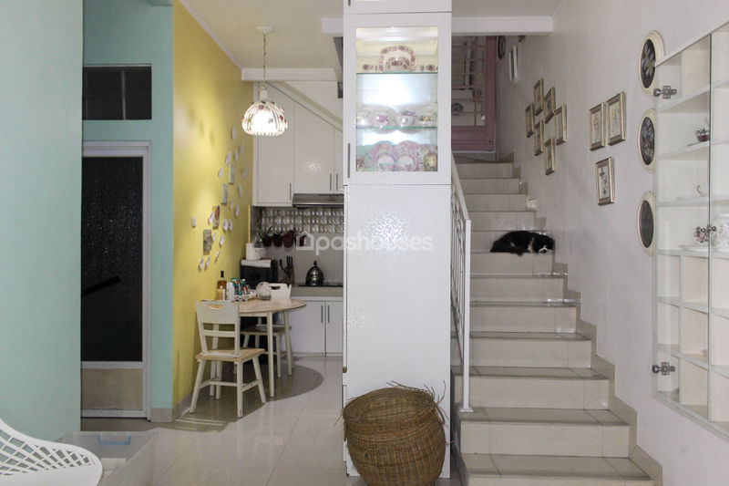 Serpong Park Cluster Fluorite