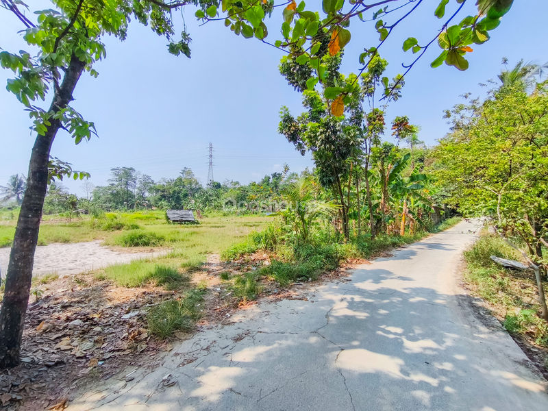 Jalan Kembang Kuning Bogor